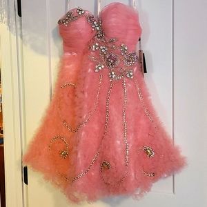 Terani Corture Pink Ruffle Dress